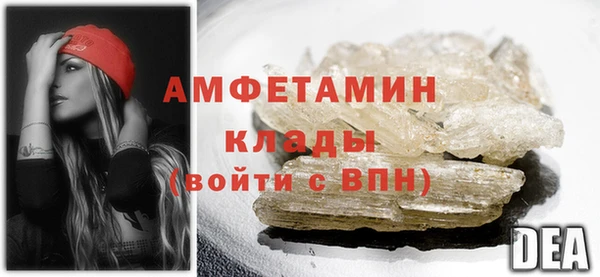 ГАЛЛЮЦИНОГЕННЫЕ ГРИБЫ Осинники